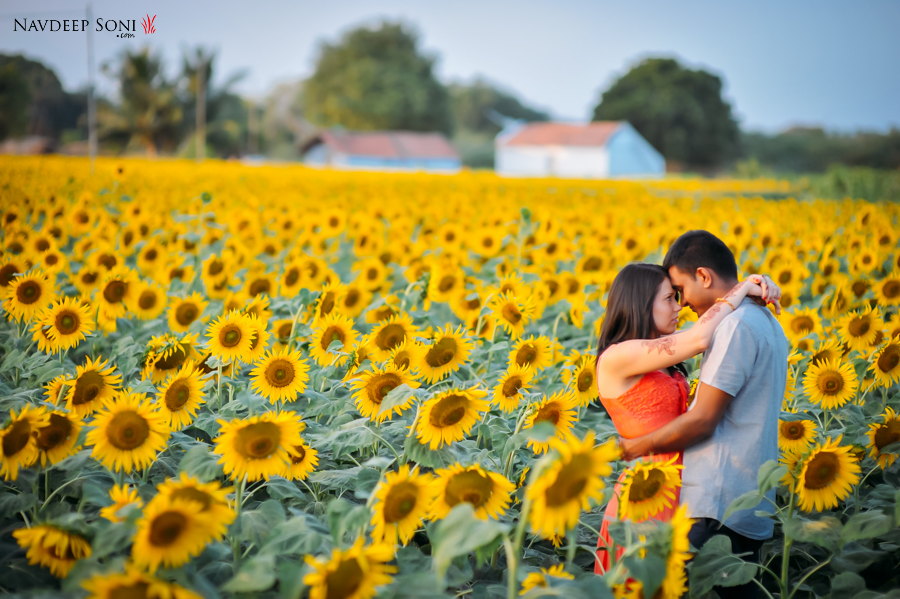 Stylized-Couple-Shoot-Farm-015